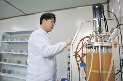 生物農(nóng)藥技術(shù)研發(fā) 對抗土壤板結(jié)與鹽堿化的綠色革命