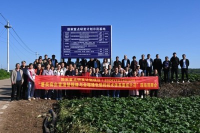 綠色防控，“薯”來運轉——河南省農科院植保所召開甘薯病蟲害綠色防控培訓觀摩會