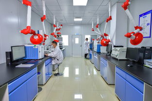 斯坦德檢測再次榮獲青島市“專精特新”稱號，生物農藥技術研發成果獲肯定